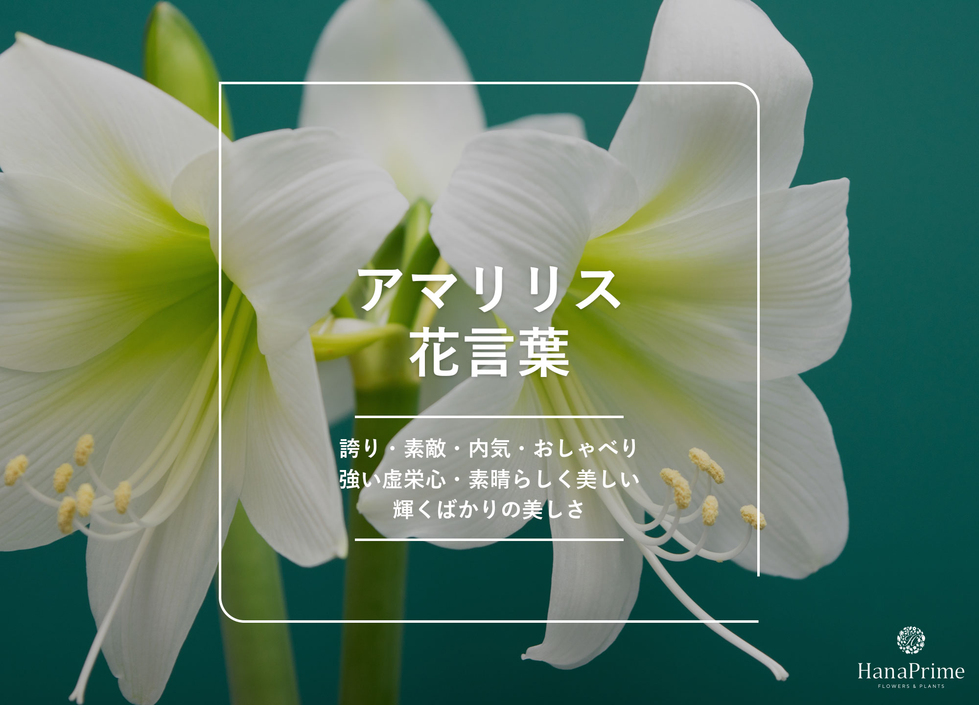 メイン画像